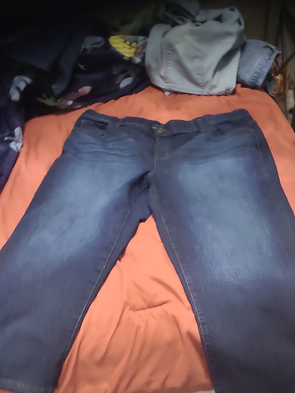 Terra & Sky Dark Blue Cropped Jeans - Mid Wash